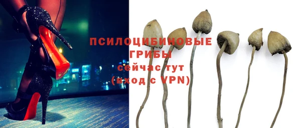 стаф Балабаново