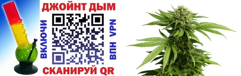 Марихуана план  Губкинский 